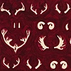North American Antlers at Night
