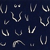 antlers