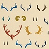 North American Antlers