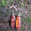 Brown Kazuri hand made bead Earring 