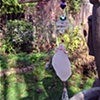 Lavender Sea Glass Sun Catcher with Crystal Drop - C247