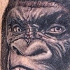 Gorilla