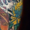 Koi i progress