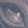 KOI close up