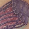 Jelly fish