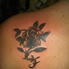 old school traditional rose