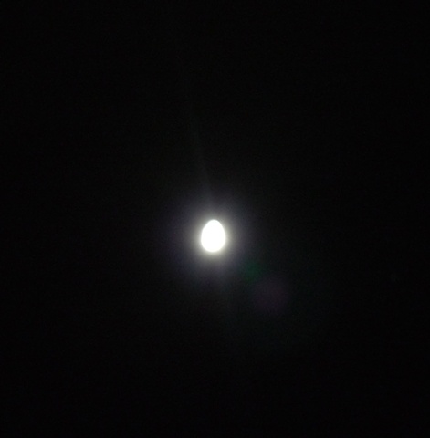 Egg. Moon.