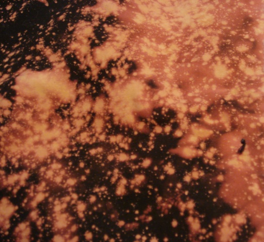Black.Hole/1 -Galaxy
