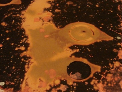 Black.Holes in Multiple/2D