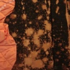 Trampoline Doorway/1