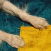 Gold and Green/ Raw Silk