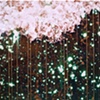 ocean wormholes + universe static