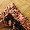 Copper.BlackHoles/ 1