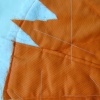 Orange Circle