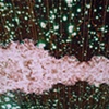 ocean wormholes + universe static
