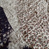 Worm.Hole/ 1