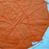 Orange Circle