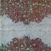ocean wormholes + universe static