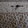 Worm.Hole/ 1