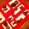 Owl/ Frames