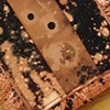 Copper.BlackHoles/ 1