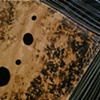 Conception