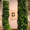 Cactus (Detail) w/ Painting For R.F. in Background