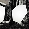 California Shapes (Triptych)