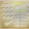 Guide to Horses