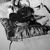 Figure Study from Life Drawing Session