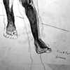 Figure Study from Life Drawing Session