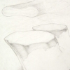 Trunk