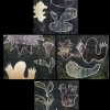 Hybridized Landscape 