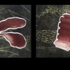Malleable Structures 1-4