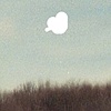 "Floaters (midwest)" detail