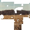 Floaters (midwest)