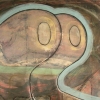 Sheep's Eye