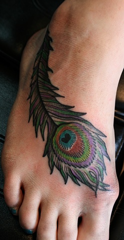 peacock feather
