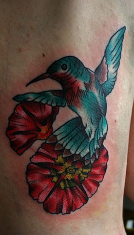 Humming bird