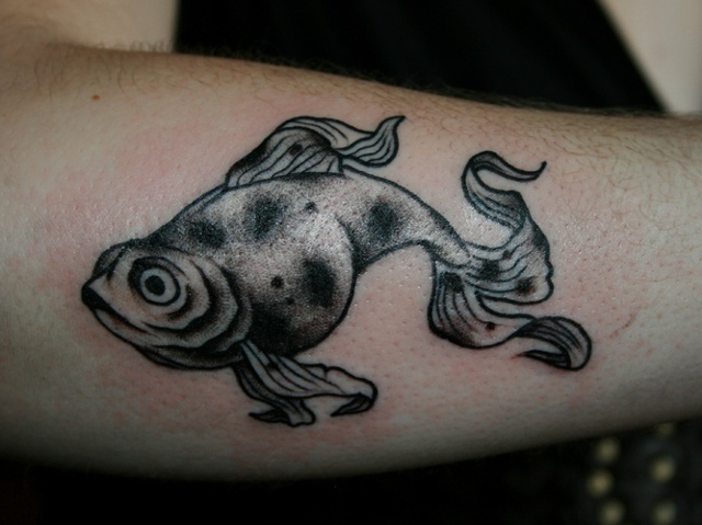 Fish