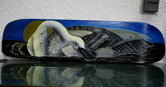 Swan