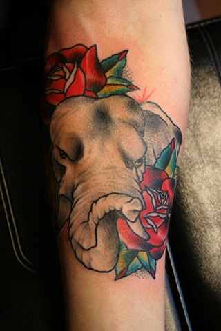 elephant