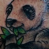 PANDA!