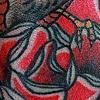 sparrow