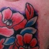 poppy