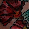 Humming bird
