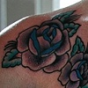 purple rose