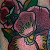 pansies