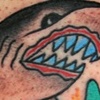 Shark