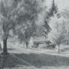 Drawings (Tonal)